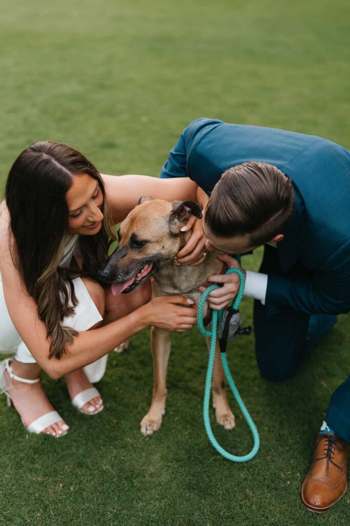 charlotte engagement with dog